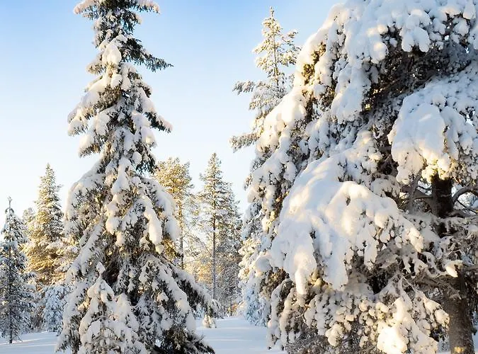 Lodge Tron Ungdomssenter